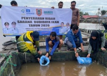 Kembangkan Haruan Estate, Pemprov Kalsel Salurkan Bantuan Budidaya Ikan Gabus di Batola