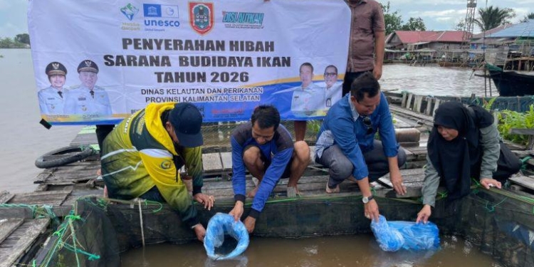 Kembangkan Haruan Estate, Pemprov Kalsel Salurkan Bantuan Budidaya Ikan Gabus di Batola