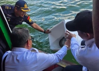 Ikan Belida Dilindungi Dikembalikan ke Habitat Asli, Bukti Kepedulian Bersama Jaga Kekayaan Perairan Kalimantan Selatan