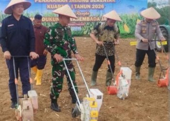 Polres Balangan Gelar Gerakan Tanam Jagung Serentak, DPRD: Langkah Nyata Perkuat Pangan Daerah