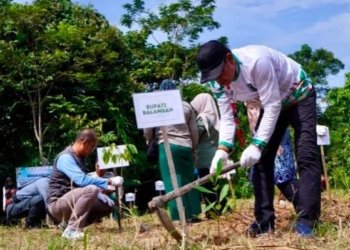 Investasi Masa Depan di Paringin, Pemuda dan Pemdes Balang Dorong Penghijauan Berkelanjutan Lewat Ribuan Bibit Gratis