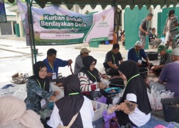 Iduladha 1447 H, Pemkab Balangan Sembelih Tiga Sapi Kurban dan Bagikan 450 Paket Daging