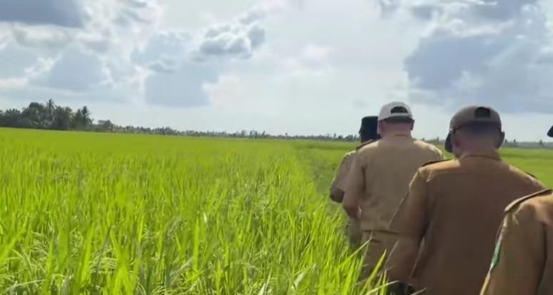 Legislator ini Sambut Baik Panen Raya Padi di Kapuas Kuala, Dukung Program Swasembada Pangan