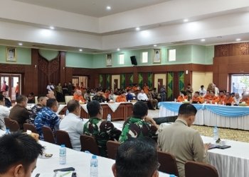 Tapin Jadi Prioritas Utama Pengawasan Karhutla