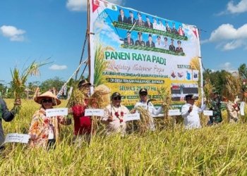 Ketua DPRD Kapuas Apresiasi Petani Saat Panen Raya Bersama Gubernur Kalteng di Desa Terusan Mulya