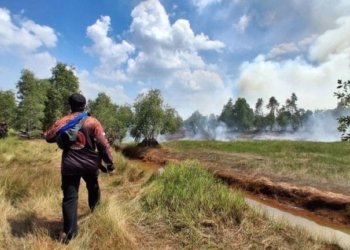 BPBD Kalsel Intensifkan Patroli, Titik Asap Baru Ditemukan di Pengayuan