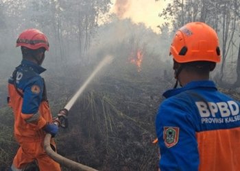 Karhutla Dekati Permukiman, BPBD Kalsel Fokus Cegah Api Meluas di Landasan Ulin Timur