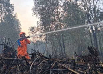 Karhutla Landasan Ulin Timur Cepat Dikendalikan, Lurah Apresiasi Gerak Cepat Tim Gabungan
