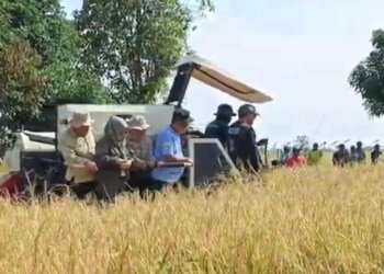 Tingkatkan Produksi Pangan, Kabupaten Banjar Genjot Indeks Pertanaman Hingga Tiga Kali Tanam dalam Setahun