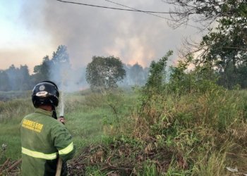 Satgas Karhutla Kalsel Siagakan 7 Posko di Sekitar Bandara Syamsudin Noor, Antisipasi Gangguan Penerbangan