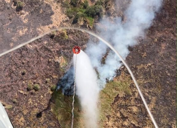 BPBD Kalsel Catat 157 Kejadian Karhutla, Operasi Darat dan Water Bombing Terus Diperkuat