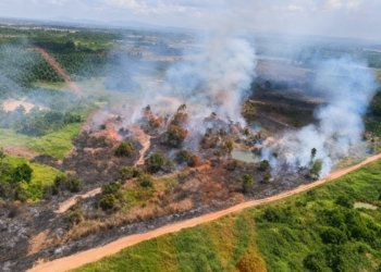 BPBD Kalsel: 299 Karhutla Terjadi hingga Akhir Juli, Akses Lokasi Jadi Kendala Utama Pemadaman