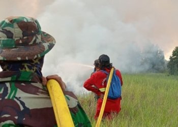 30 Hektare Terdampak Akibat Karhutla di Ujung Jalan Golf Meluas, BPBD Kalsel Kerahkan Water Bombing