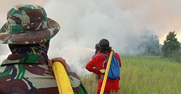 30 Hektare Terdampak Akibat Karhutla di Ujung Jalan Golf Meluas, BPBD Kalsel Kerahkan Water Bombing
