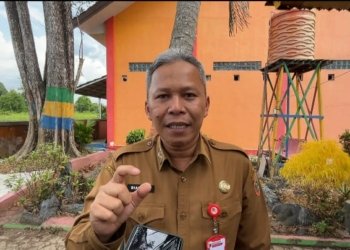 Dinkes Kalsel Sebut Karhutla Picu Lonjakan ISPA Dua Kali Lipat