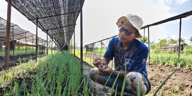 Jeritan Dadi Ditengah Kemarau
