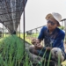 Jeritan Dadi Ditengah Kemarau
