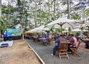 Dinas Kehutanan Kalsel Targetkan Desain Potensi Karbon Rampung Akhir 2026