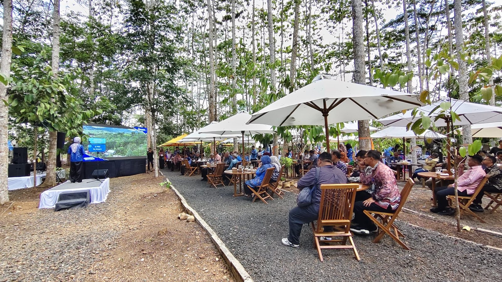 Dinas Kehutanan Kalsel Targetkan Desain Potensi Karbon Rampung Akhir 2026
