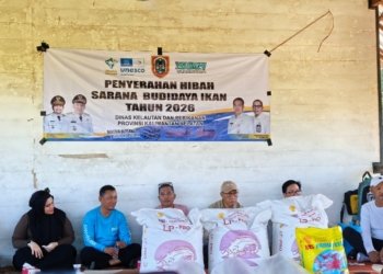 Pemprov Kalsel Salurkan 20 Ribu Benih Papuyu untuk Kampung Papuyu Banjar, Perkuat Sentra Ikan Lokal Unggulan