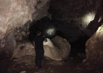 Goa Batu Hapu Jadi Habitat Tiga Spesies Kelelawar, Geopark Meratus Perkuat Upaya Konservasi