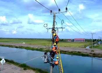 Capaian PLN UID Kalselteng, Rasio Desa Berlistrik Capai 93,17 Persen