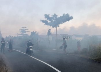 BPBD Kalsel Catat 81 Kejadian Karhutla Hanguskan 221 Hektare Lahan, Hotspot Tembus 2.481 Titik