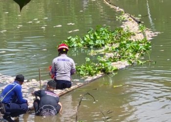 Ribuan Bangkai Ikan Penuhi Sungai Arfat Banjar, Pemkab Bergerak Cepat Kerahkan Lintas OPD dan Salurkan Air Bersih