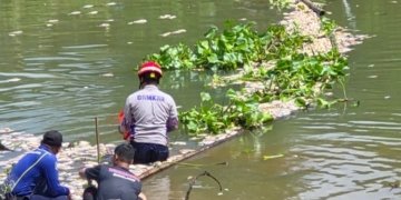 Ribuan Bangkai Ikan Penuhi Sungai Arfat Banjar, Pemkab Bergerak Cepat Kerahkan Lintas OPD dan Salurkan Air Bersih