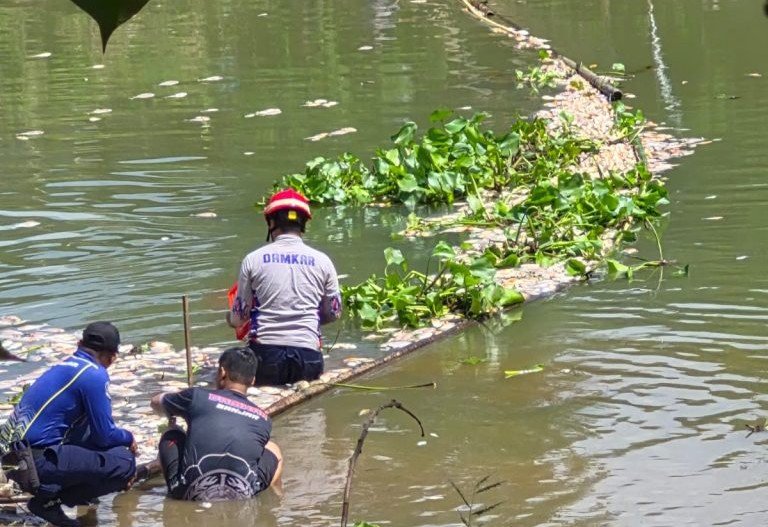 Ribuan Bangkai Ikan Penuhi Sungai Arfat Banjar, Pemkab Bergerak Cepat Kerahkan Lintas OPD dan Salurkan Air Bersih
