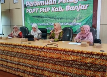 Serangan Tungro dan Kekeringan Ancam Sawah Banjar, Distan Siapkan Strategi Selamatkan Produksi Padi