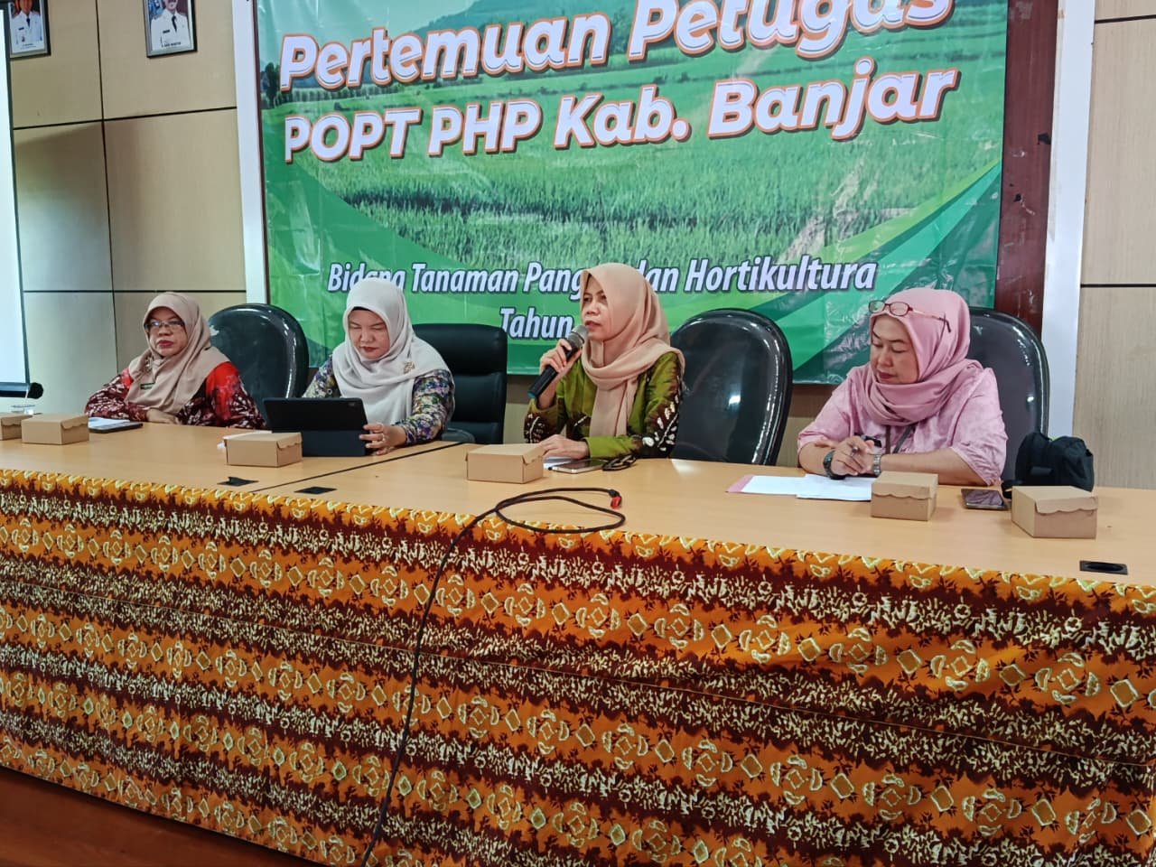 Serangan Tungro dan Kekeringan Ancam Sawah Banjar, Distan Siapkan Strategi Selamatkan Produksi Padi
