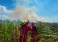 Karhutla Seluas 20 Hektare di Desa Tungkaran Berhasil Dipadamkan, Petugas Berjibaku Hampir Enam Jam