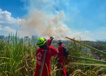 Karhutla Seluas 20 Hektare di Desa Tungkaran Berhasil Dipadamkan, Petugas Berjibaku Hampir Enam Jam
