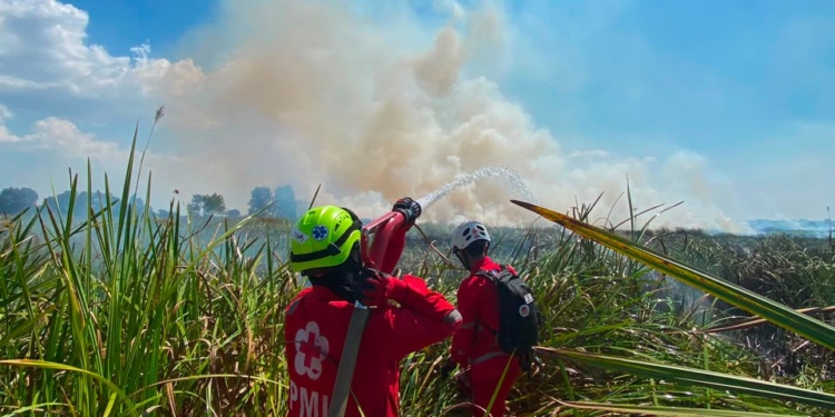 Karhutla Seluas 20 Hektare di Desa Tungkaran Berhasil Dipadamkan, Petugas Berjibaku Hampir Enam Jam