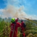 Karhutla Seluas 20 Hektare di Desa Tungkaran Berhasil Dipadamkan, Petugas Berjibaku Hampir Enam Jam