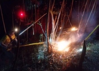 Brigade Dalkarhutla Dishut Kalsel Padamkan Api di Tiga Titik Rawan Karhutla