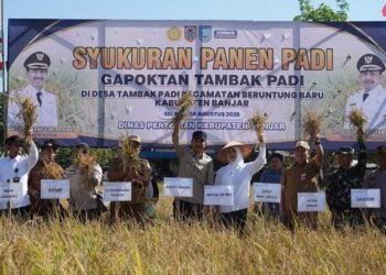 Panen Padi di Beruntung Baru, Bupati Banjar Tegaskan Komitmen Perkuat Ketahanan Pangan Nasional