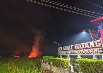 Karhutla Melulu! Api Nyaris Melahap Rumah Warga