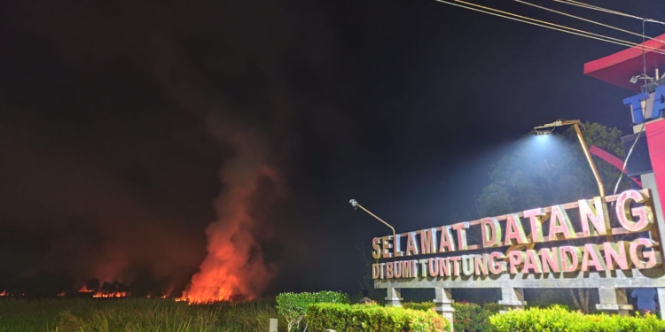 Karhutla Melulu! Api Nyaris Melahap Rumah Warga