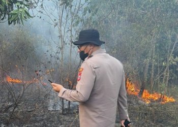 10 Hektare Lahan Terbakar, Polisi Selidiki Karhutla di Cempaka
