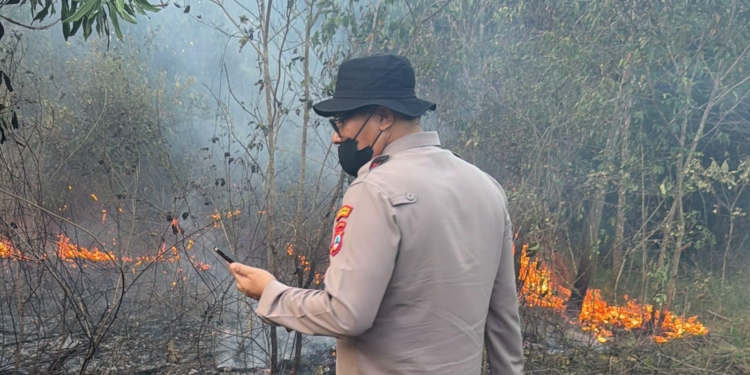 10 Hektare Lahan Terbakar, Polisi Selidiki Karhutla di Cempaka