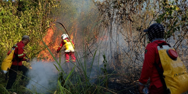 Karhutla Tahura Sultan Adam Berhasil Dipadamkan, Dishut Kalsel Kerahkan Water Bombing