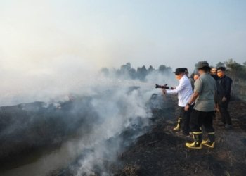 Gubernur Muhidin Bersama Forkopimda Turun Padamkan Karhutla di Pengayuan Banjarbaru