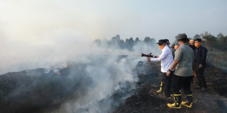 Gubernur Muhidin Bersama Forkopimda Turun Padamkan Karhutla di Pengayuan Banjarbaru