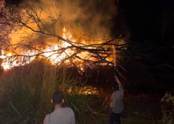 Tenaga Pemadaman Karhutla di Tambang Ulang Minim