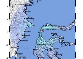 Berikut Dampak Gempa M7.7 NTT, Puluhan Warga Meninggal Dunia