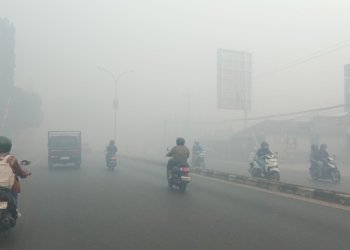 Kabut Asap Akibat Karhutla Makin Pekat, Warga Banjarbaru Keluhkan Sesak Napas