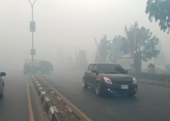 Dinas Kesehatan Kota Banjarbaru Imbau Masyarakat Waspadai Dampak Kabut Asap Karhutla