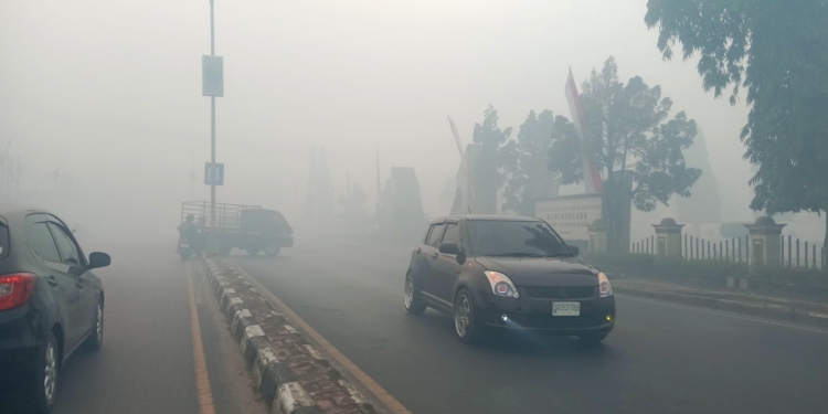 Dinas Kesehatan Kota Banjarbaru Imbau Masyarakat Waspadai Dampak Kabut Asap Karhutla